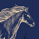 Equus Caballus In Gramine Maris