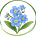 Victoria Holistic Death Care's avatar
