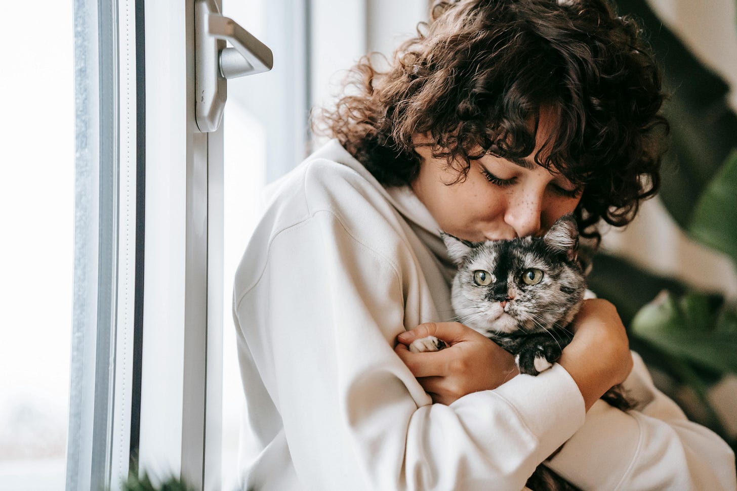 Woman white shirt kissing cat near window home Woman white shirt kissing cat near window home