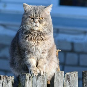 Going into Sales? Learn How to Not Piss-off Your Prospects.