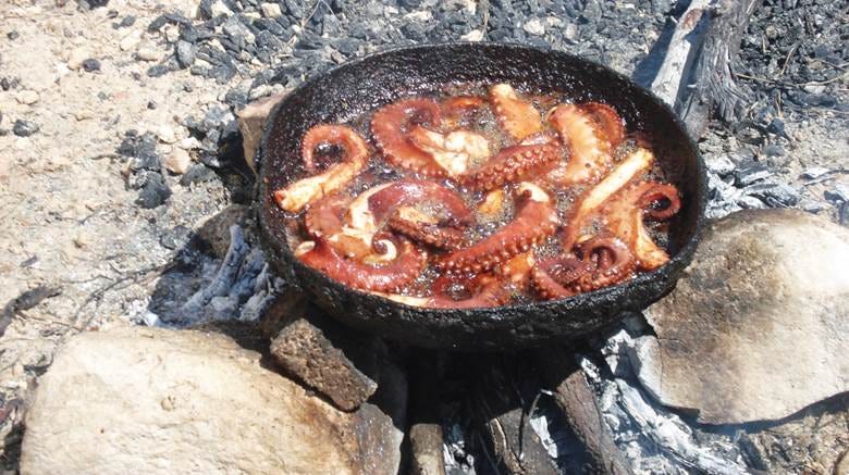 A pan of octopus cooking on a fire

Description automatically generated