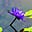 Sheeby's avatar