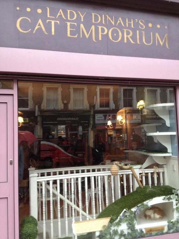 Lady Dinah's Front Window Lady Dinah's Front Window