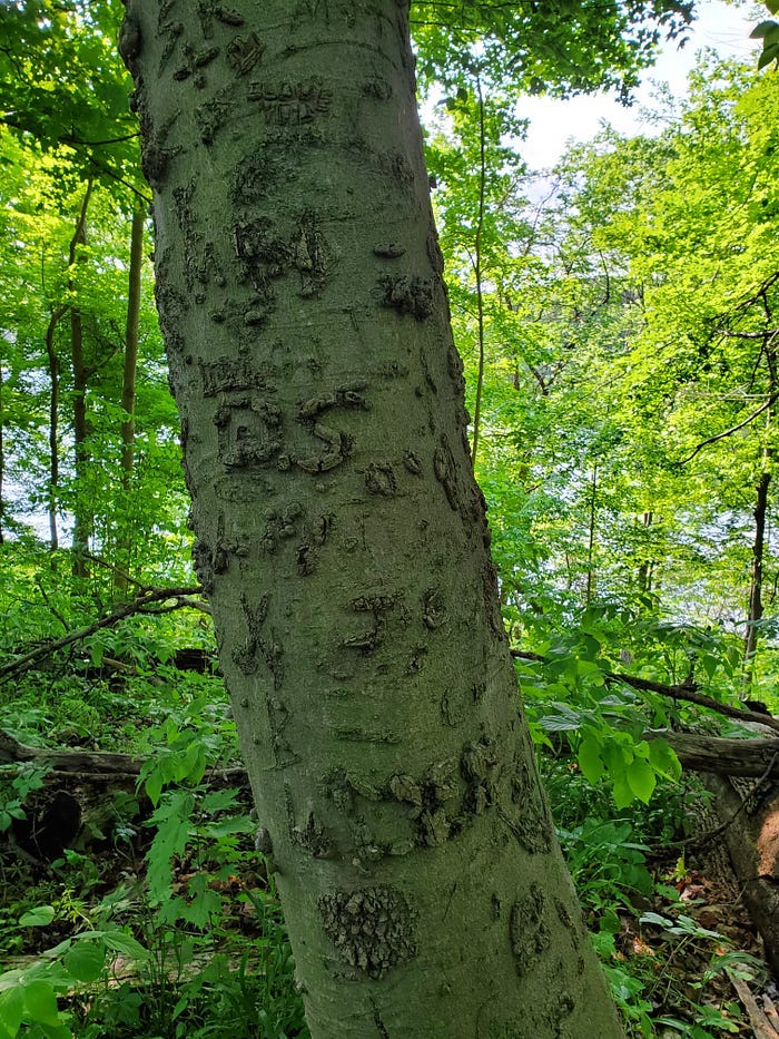 Chain O’ Lakes State Park