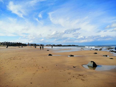 Gallery of North Berwick landscape