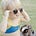 Bitsy's avatar