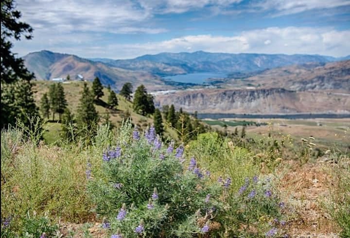 Wildflowers abound in the spring Wildflowers abound in the spring