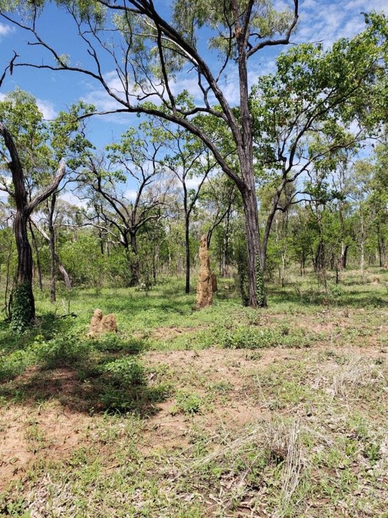 ant hills in the Australian Outback