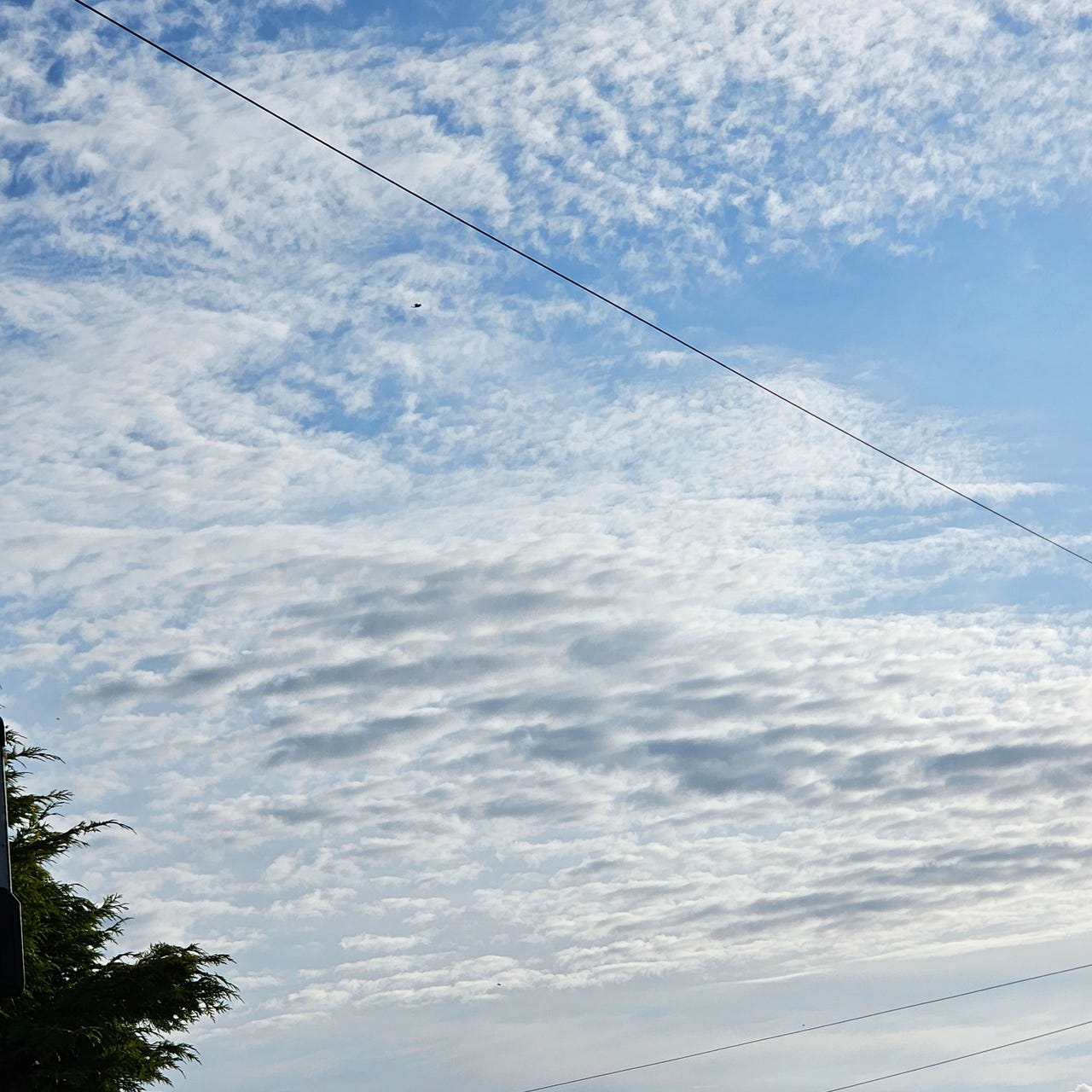 Scribbles and Sketches