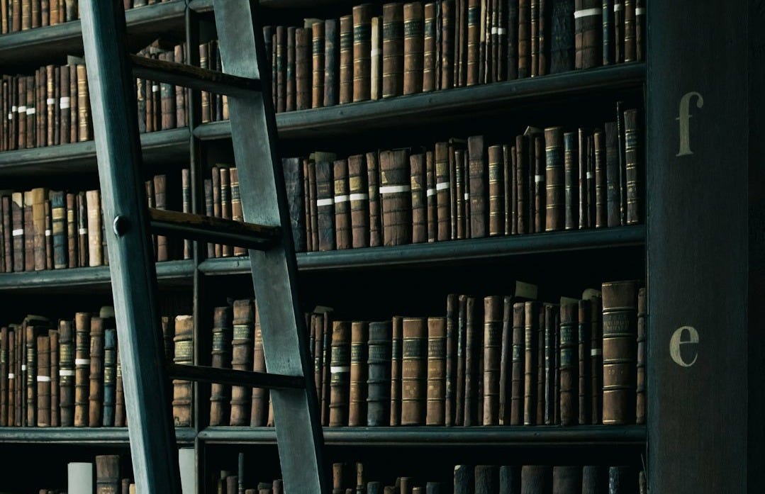 library shelf near black wooden ladder