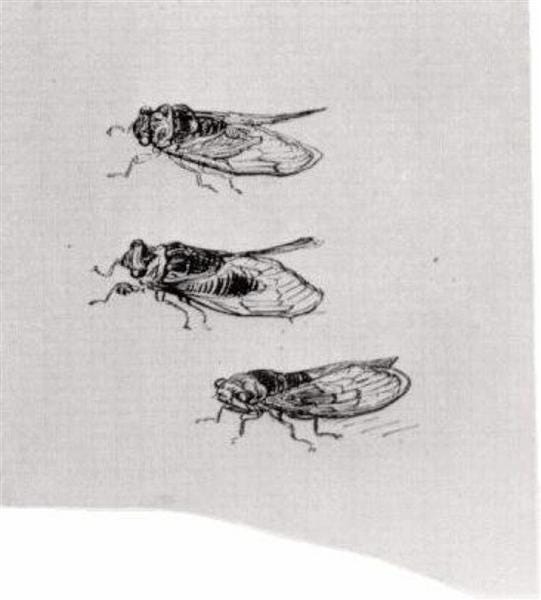 Three Cicadas, Vincent van Gogh, 1889