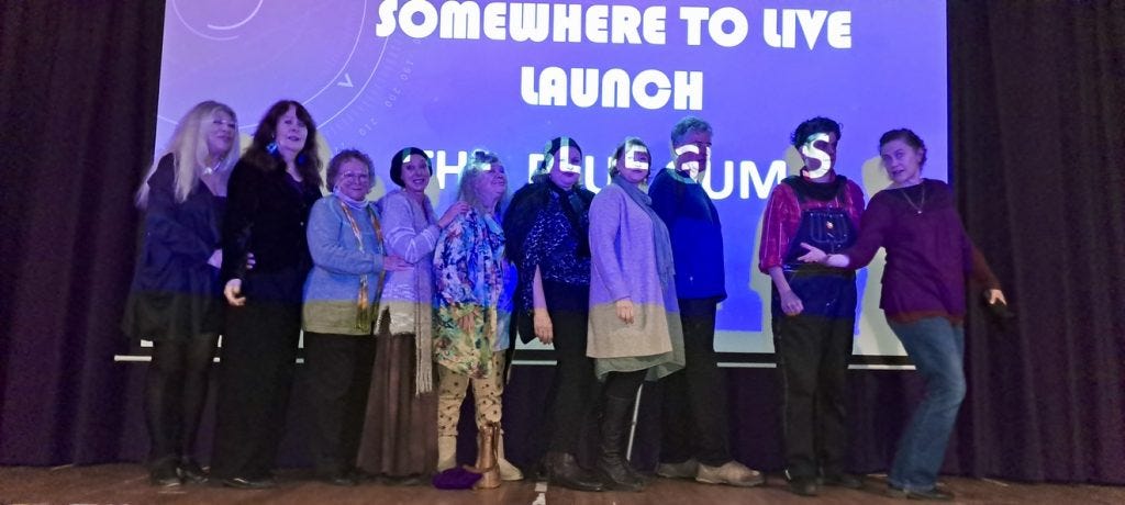 The Blue Gums, Voices for Social Change