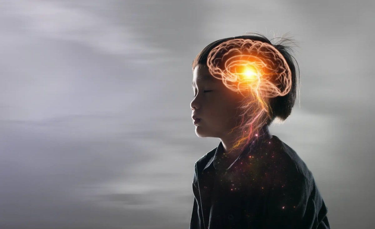 twice exceptional boy who is gifted but struggling. he is gifted but he has a disability, Autism, ADHD, dyslexia. 2e.