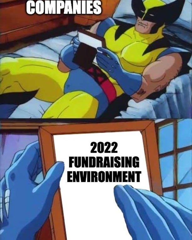 Wolverine lying in bed labelled "Companies", gazing at a framed picture labelled "2022 fundraising environment".