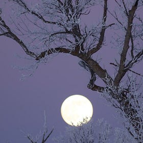 Full Moon in Gemini: Words, Wisdom & Witchcraft