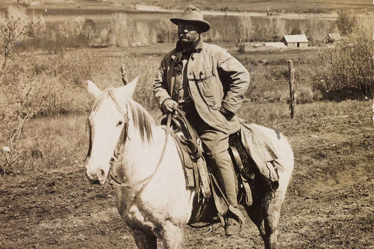 What a 9-year-old saw in Teddy Roosevelt - CSMonitor.com What a 9-year-old saw in Teddy Roosevelt - CSMonitor.com