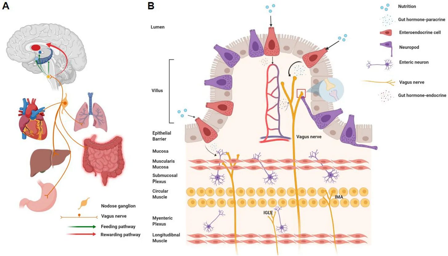 https%3A%2F%2Fsubstack post media.s3.amazonaws.com%2Fpublic%2Fimages%2F9616b111 d729 44ce be41