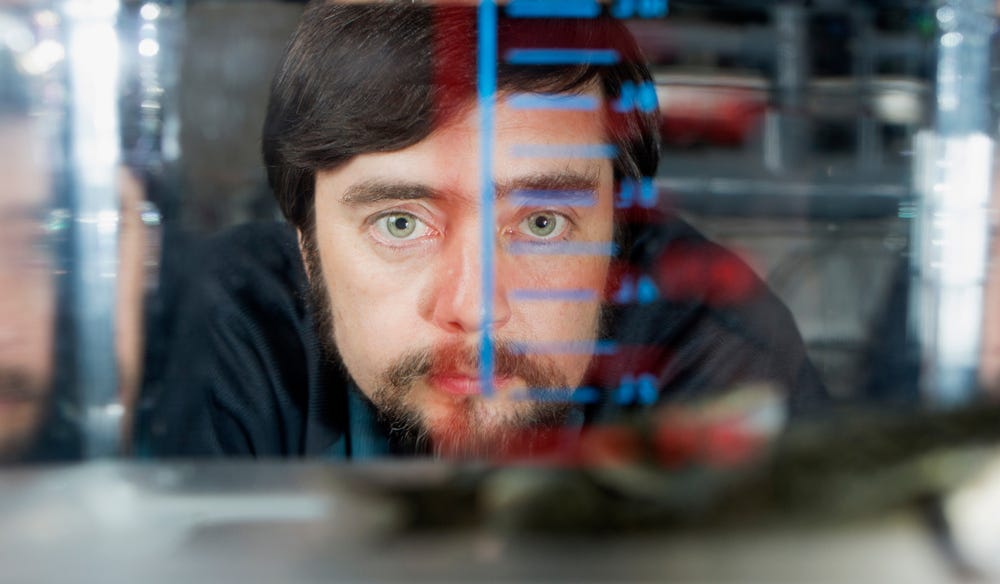 Michael Levin (biologist) - Wikipedia