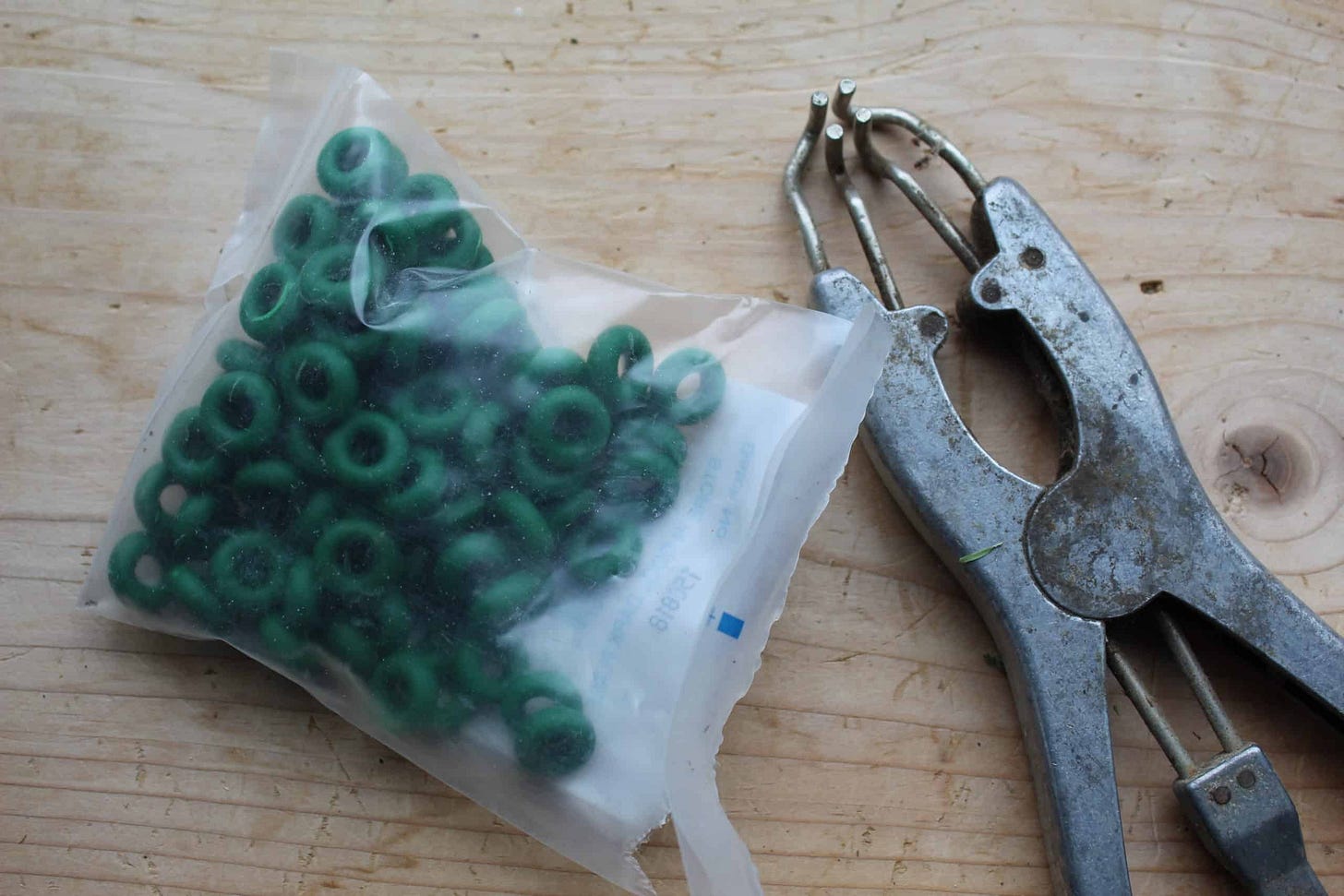 How to Band a Buckling - How to Band a Buckling -