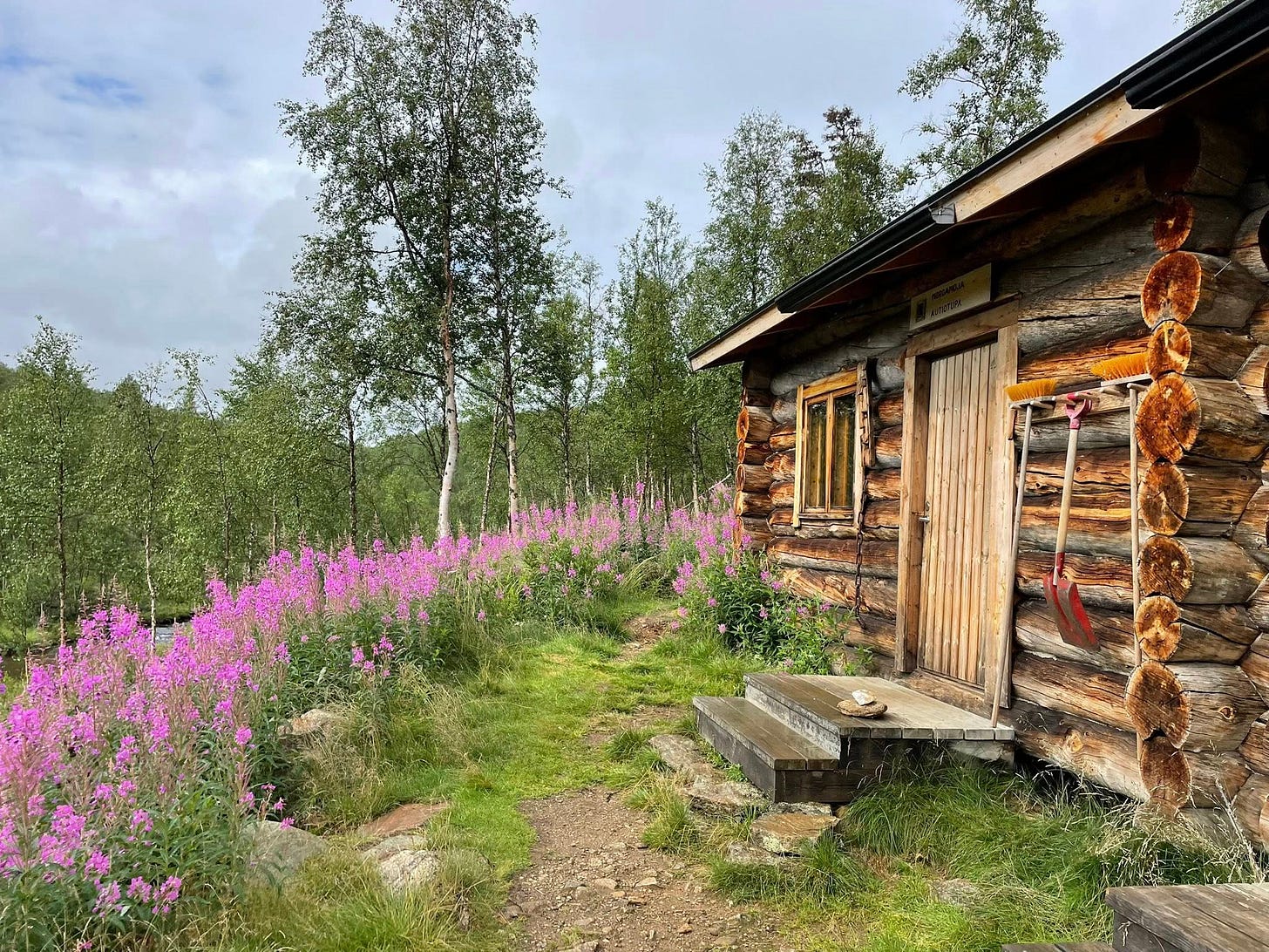 Wood cabin with shovels and bright purple flowers outside.