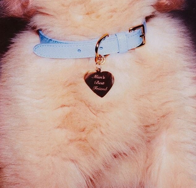 Sabrina Carpenter roasted over 'pathetic' sexual album cover for ...