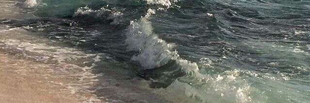 This may contain: a person riding a surfboard on top of a wave in the ocean next to a sandy beach