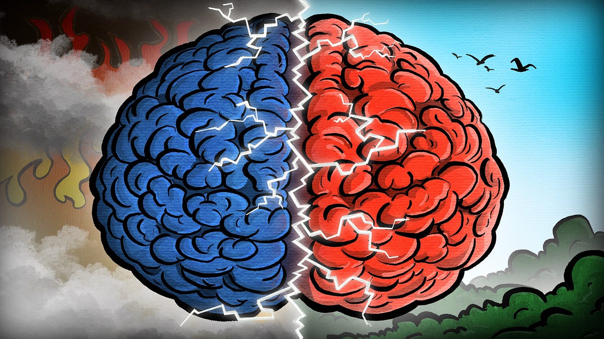 Bluesky Brain, X Brain: Two Viral Stories From Minnesota