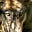 Eleanor Dobson's avatar