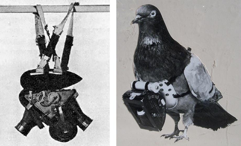 pigeon photography, pigeon cam, Julius Neubronner, World War I, FIrst World War, animal camera, German inventor pigeon photography, pigeon cam, Julius Neubronner, World War I, FIrst World War, animal camera, German inventor