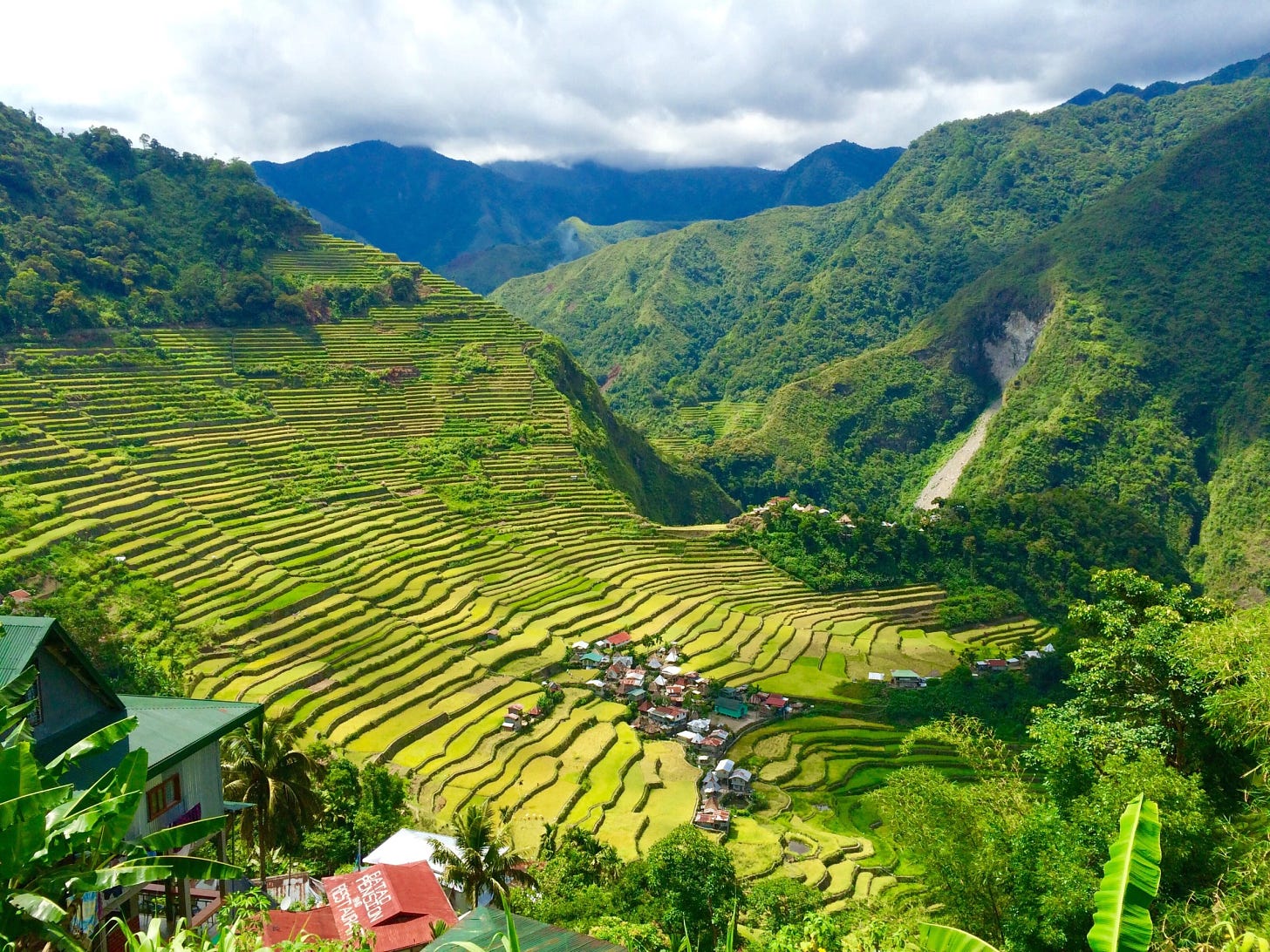 Bontoc Rice Terraces Bontoc Rice Terraces