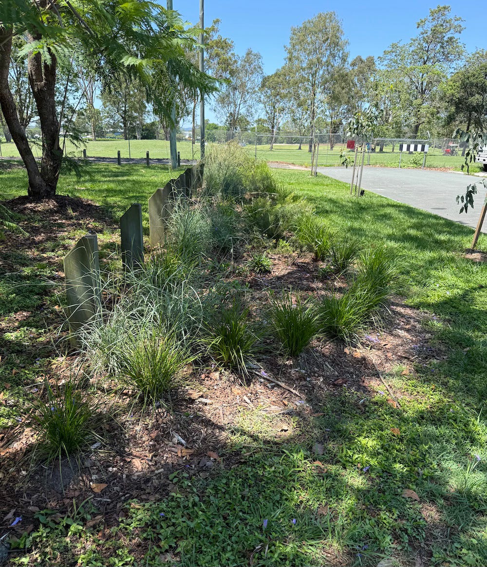 long shot of verge garden