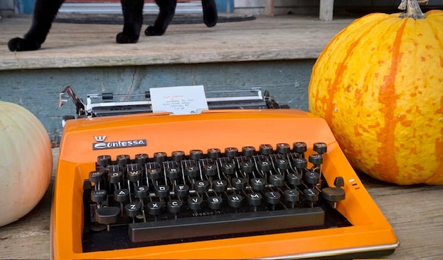 An orange vintage typewriter sits on a wooden step between two pumpkins. The feet of a black cat can be seen on the step above. 