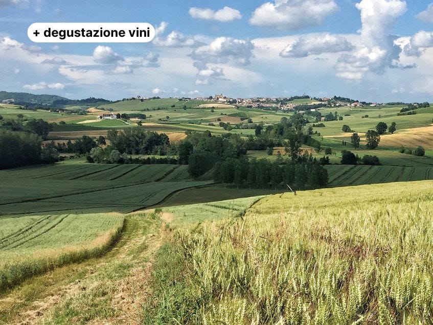 Colline del Monferrato in primavera Colline del Monferrato in primavera