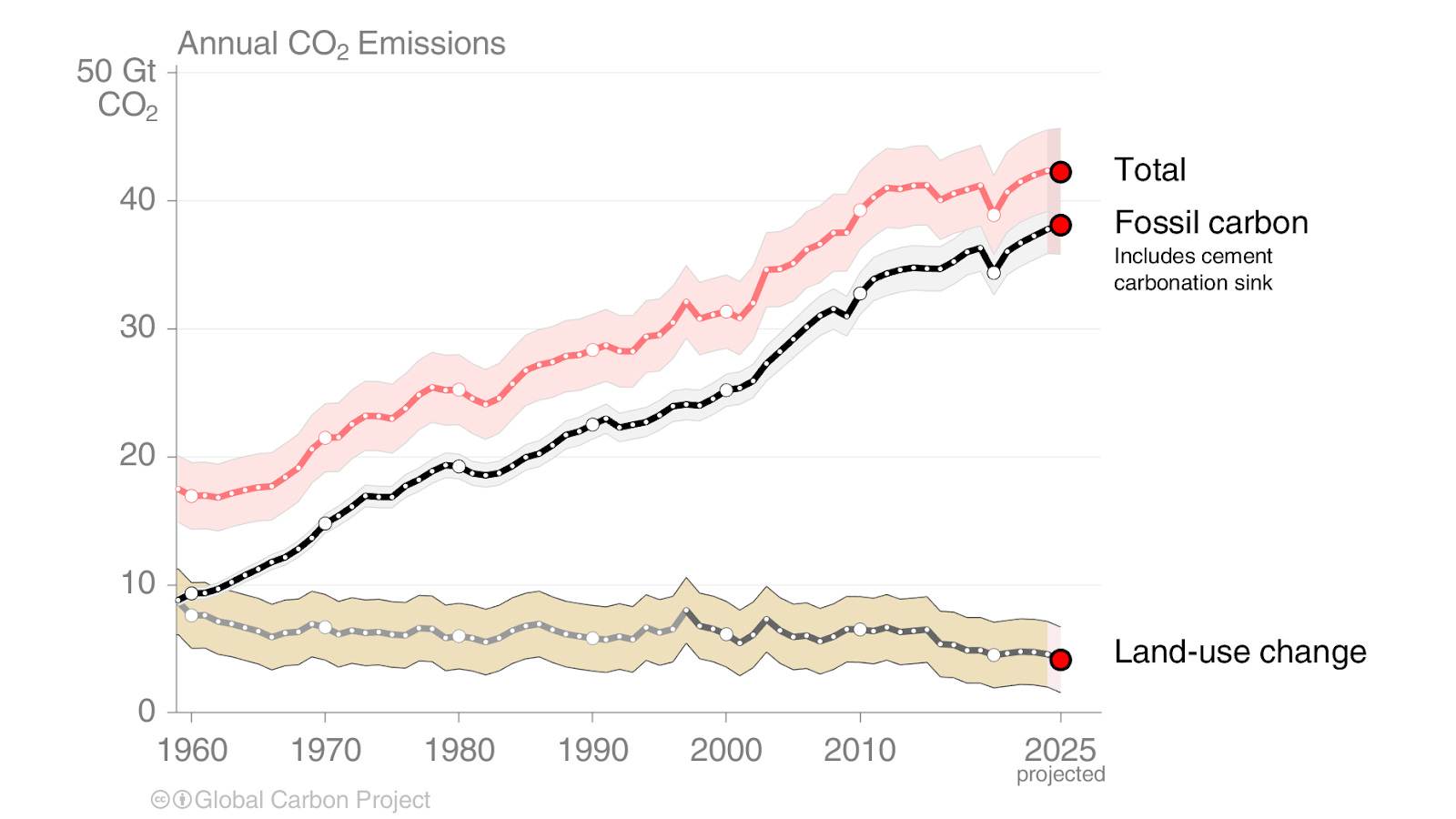 What happened to global carbon emissions this year?