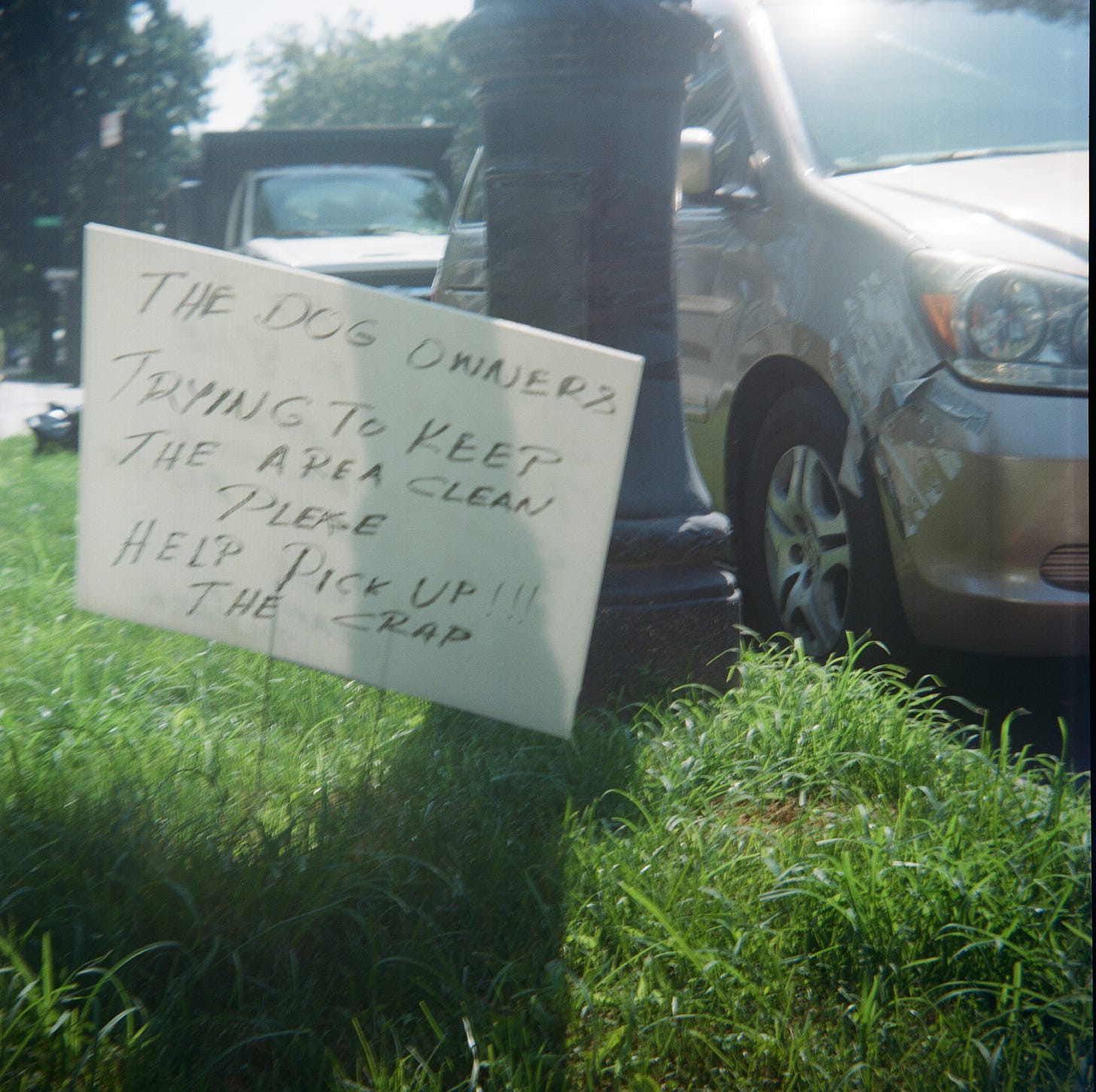 Sign asking dog owners to clean up after their dogs on grassy area in Flatbush