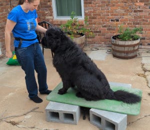 Crokell on the low platform. Crokell on the low platform.