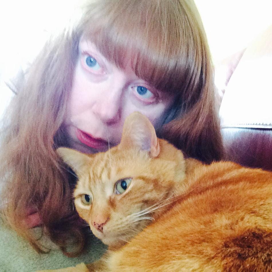 Mostly Flash, Mostly Fiction