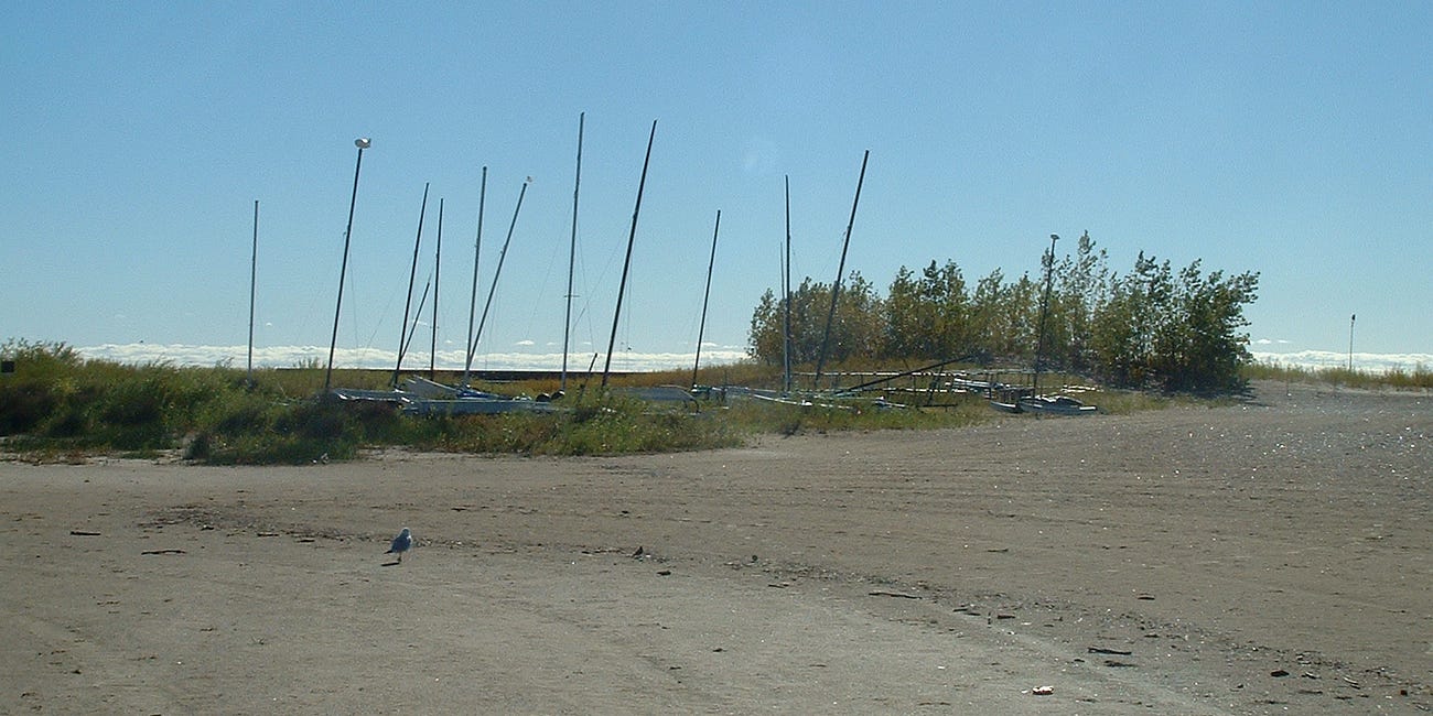 “Baby dunes” became haven for endangered species