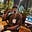 Abdoul Shema's avatar