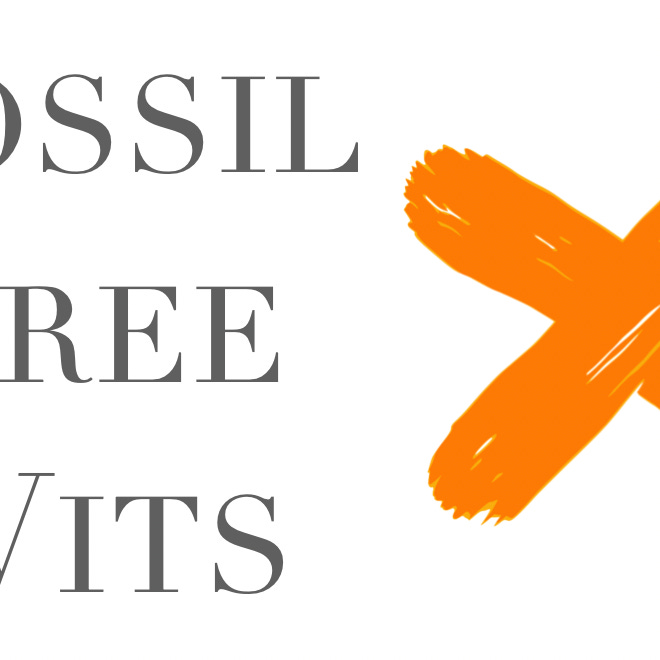 Fossil Free Wits