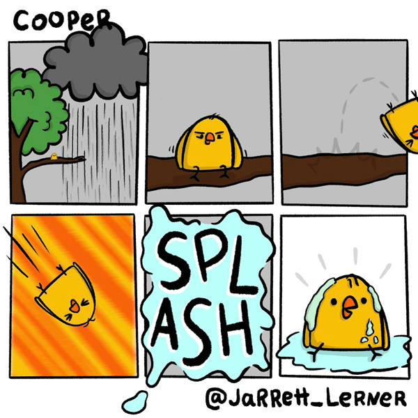 On a gloomy, rainy day, Cooper, a yellow chick, sits on a branch of a tall tree. Cooper purposefully jumps off the branch into a puddle. Head first, he comes soaring down like a comet, making a giant splash when he reaches the ground. After landing in the giant puddle, Copper looks surprised and dizzy.