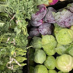 Making Salmonella Great Again 