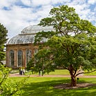 23. Botanics Paperbark
