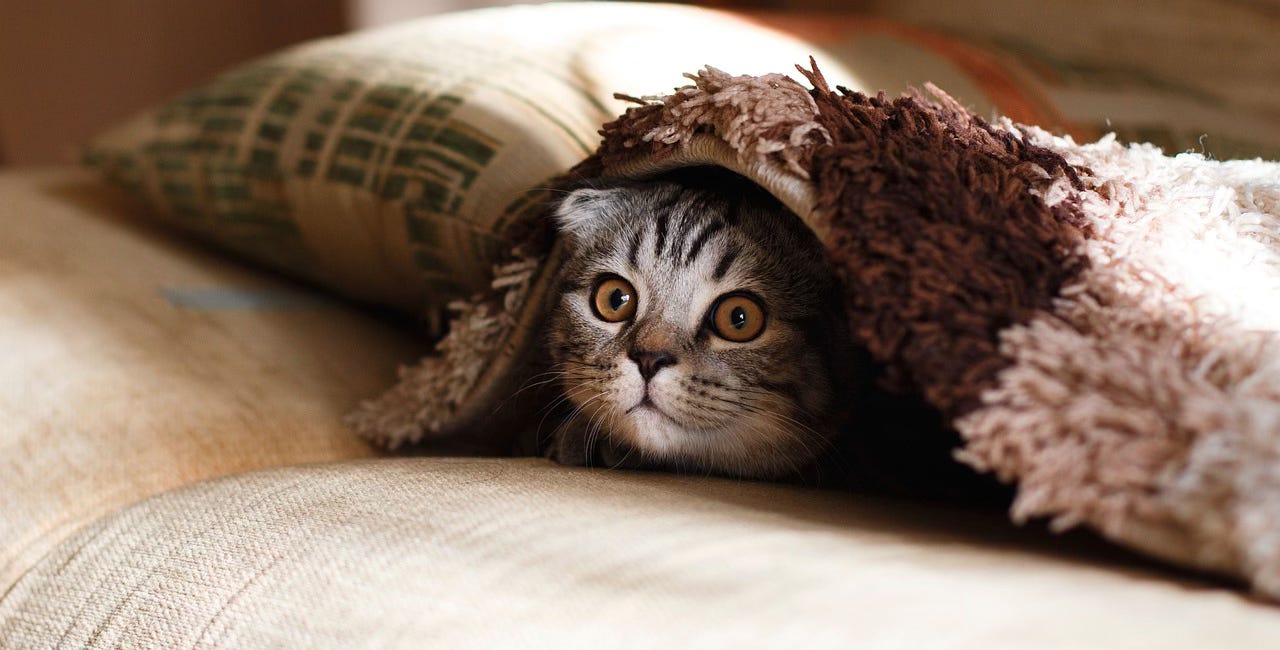 What makes a home? The truth about a life-long reconning