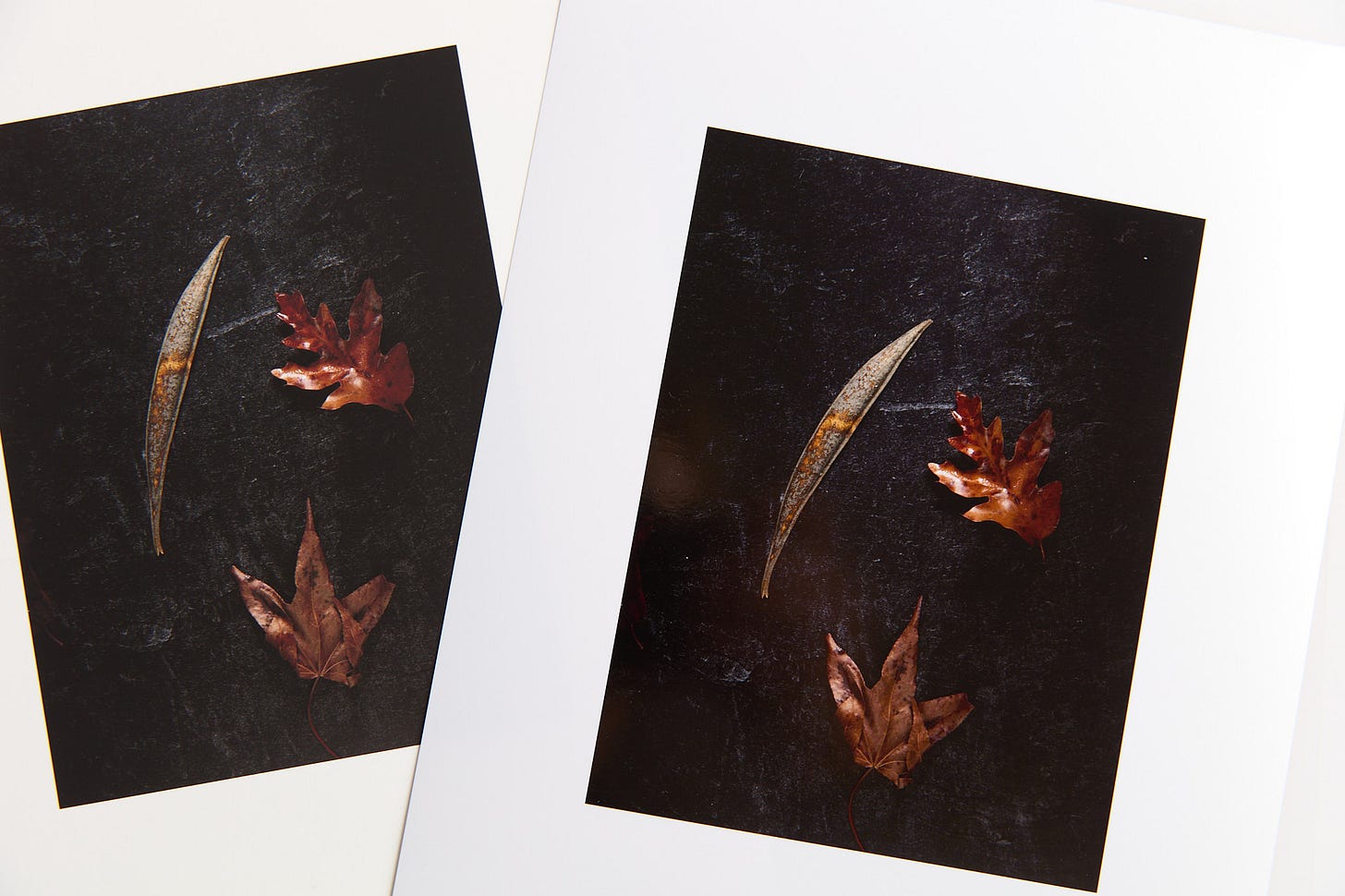 Hahnemuhle baryta matt vs Moab Entrada Bright