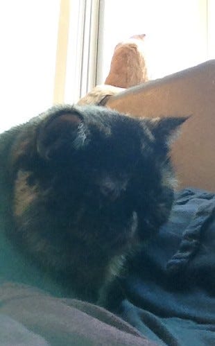 IMG_3148 IMG_3148