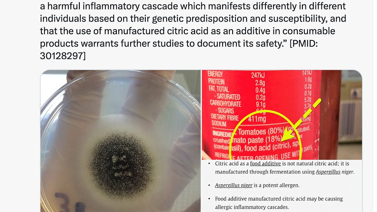 celiafarber.substack.com