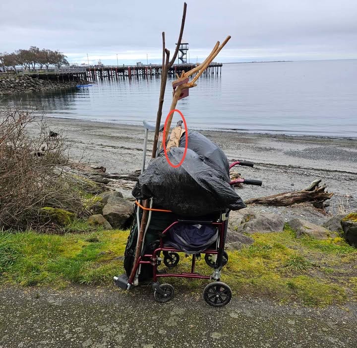 image-1837425143586754.jpg image-1837425143586754.jpg