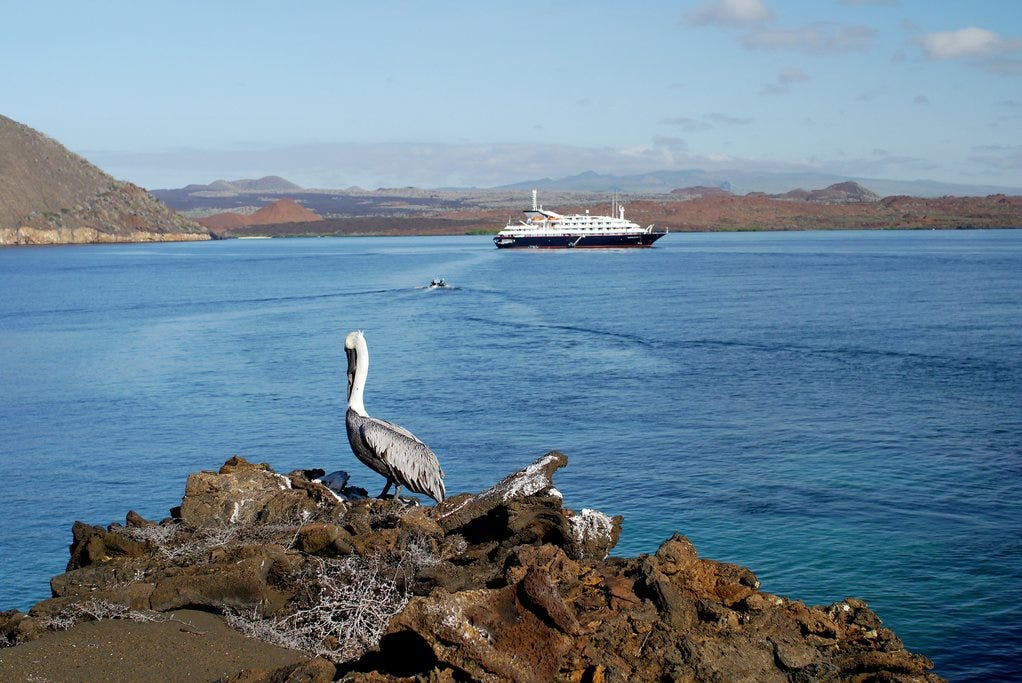 Ultimate Guide to Galápagos Cruises | kimkim