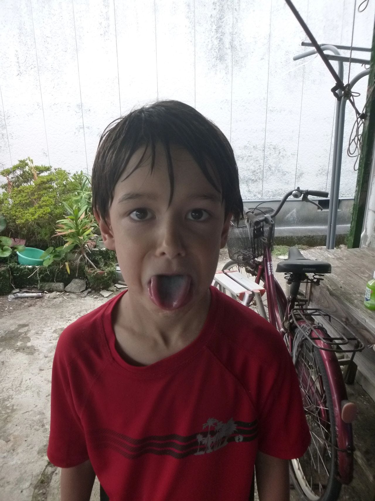 Lucas showing off his blue tongue after eating shaved ice while visiting with cousins in Japan.